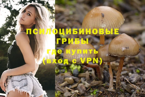 крисы Абдулино