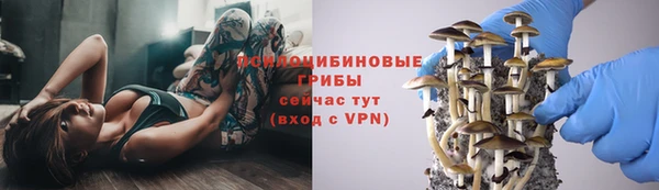 герыч Абаза