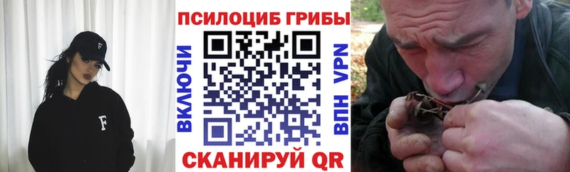 Псилоцибиновые грибы прущие грибы  Слюдянка 
